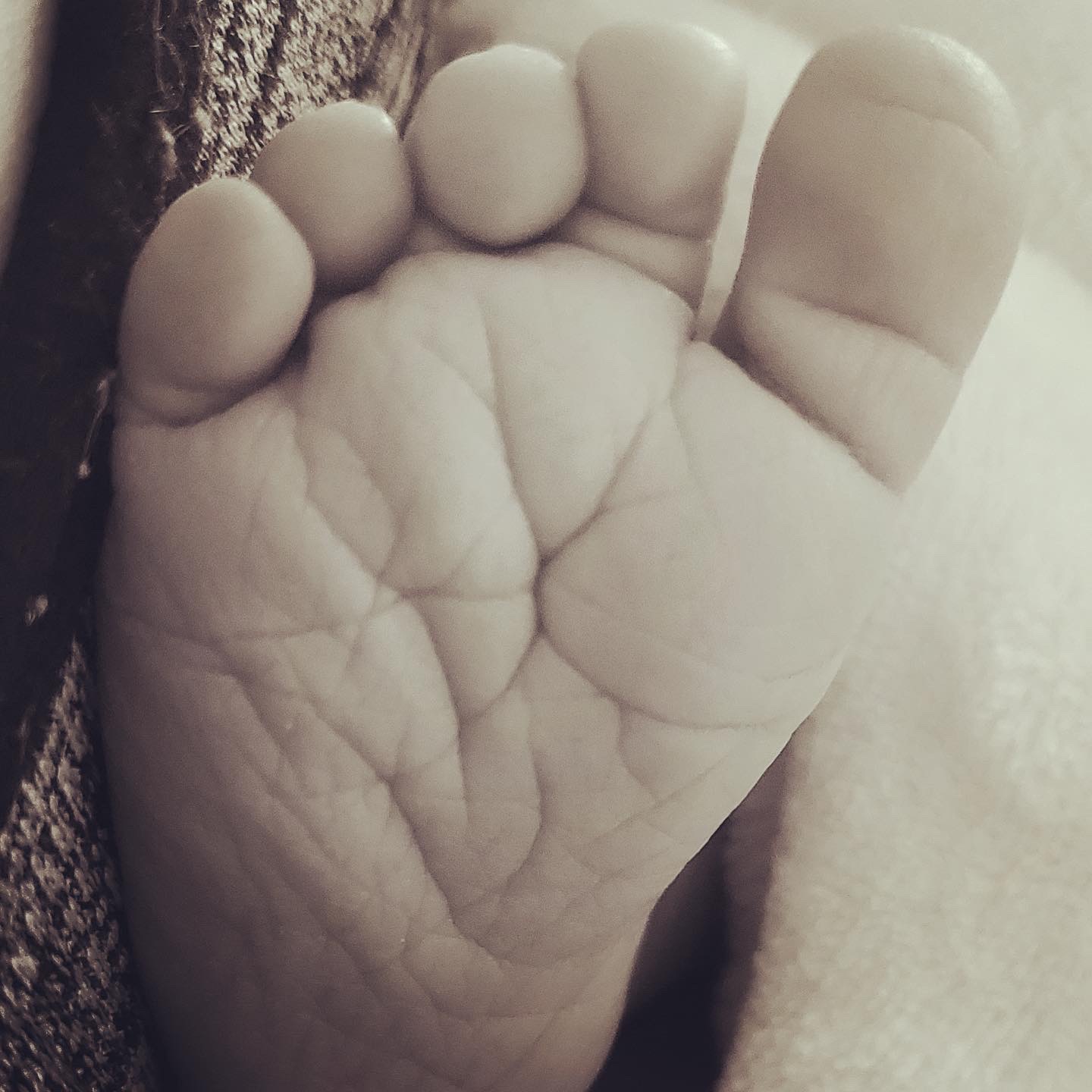 Layla's foot